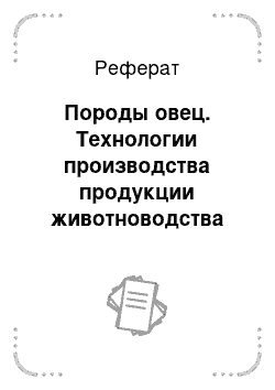 Реферат: Породы овец. Технологии производства продукции животноводства