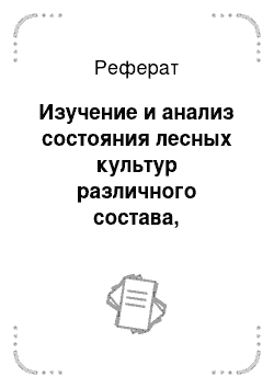 Реферат: Изучение и анализ состояния лесных культур различного состава, возраста, густоты