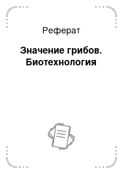 Реферат: Значение грибов. Биотехнология