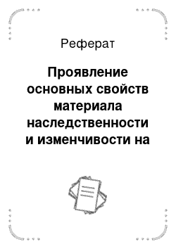 Реферат: Проявление основных свойств материала наследственности и изменчивости на хромосомном уровне его организации