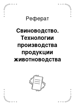 Реферат: Свиноводство. Технологии производства продукции животноводства