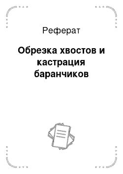 Реферат: Обрезка хвостов и кастрация баранчиков