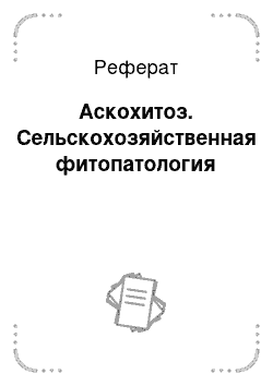 Курсовая работа: Промышленное и племенное птицеводство