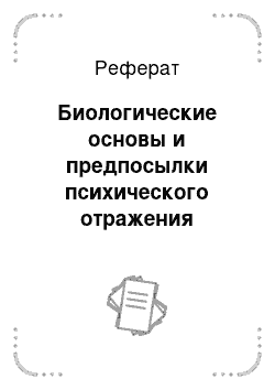 Реферат: Природа психического. Психические особенности человека