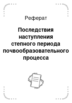 Реферат: Последствия наступления степного периода почвообразовательного процесса