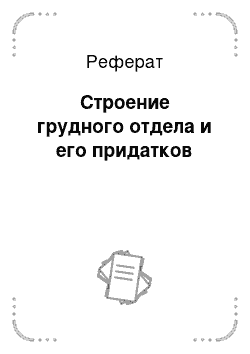 Реферат: Строение грудного отдела и его придатков