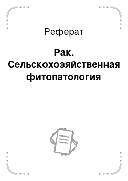 Реферат: Рак. Сельскохозяйственная фитопатология