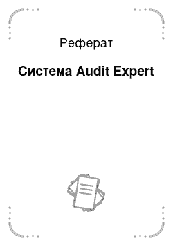 Реферат: Система Audit Expert