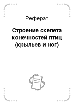 Реферат: Строение скелета конечностей птиц (крыльев и ног)