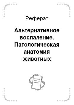 Реферат: Альтернативное воспаление. Патологическая анатомия животных