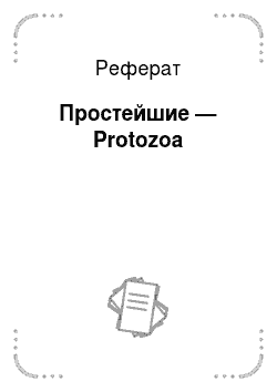 Реферат: Простейшие — Protozoa