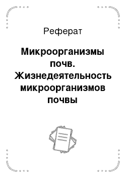 Реферат: Микроорганизмы почв. Жизнедеятельность микроорганизмов почвы