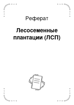 Реферат: Лесосеменные плантации (ЛСП)