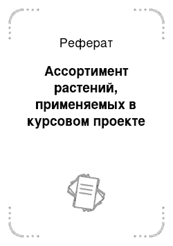 Реферат: Ассортимент растений, применяемых в курсовом проекте