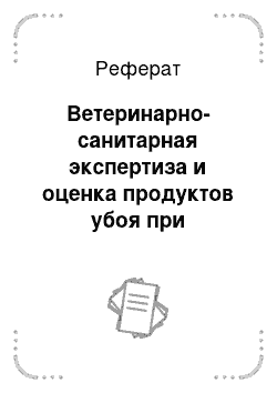 Реферат: Ветеринарно-санитарная экспертиза и оценка продуктов убоя при вынужденном убое животных