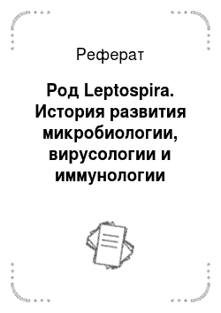 Реферат: Род Leptospira. История развития микробиологии, вирусологии и иммунологии