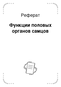 Реферат: Функции половых органов самцов