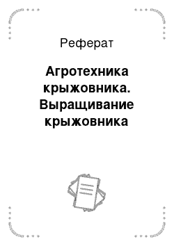 Реферат: Агротехника крыжовника. Выращивание крыжовника