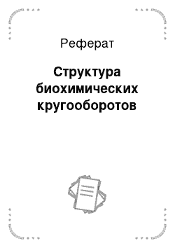 Реферат: Структура биохимических кругооборотов