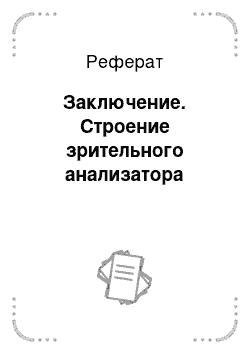 Реферат: Заключение. Строение зрительного анализатора