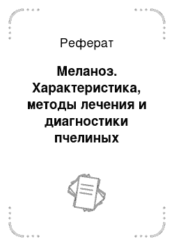 Реферат: Меланоз. Характеристика, методы лечения и диагностики пчелиных болезней