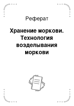 Реферат: Хранение моркови. Технология возделывания моркови