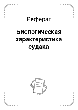 Реферат: Биологическая характеристика судака