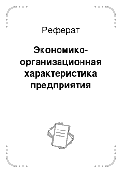 Реферат: Экономико-организационная характеристика предприятия