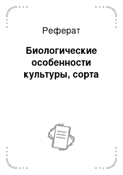 Реферат: Биологические особенности культуры, сорта