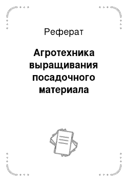 Реферат: Агротехника выращивания посадочного материала