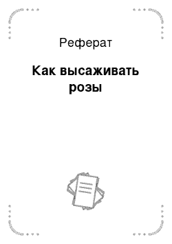 Реферат: Как высаживать розы