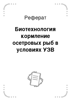 Реферат: Биотехнология кормление осетровых рыб в условиях УЗВ