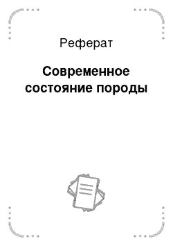 Реферат: Современное состояние породы