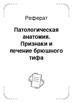 Реферат: Патологическая анатомия. Признаки и лечение брюшного тифа