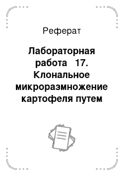 Реферат: Лабораторная работа № 17. Клональное микроразмножение картофеля путем черенкования побегов