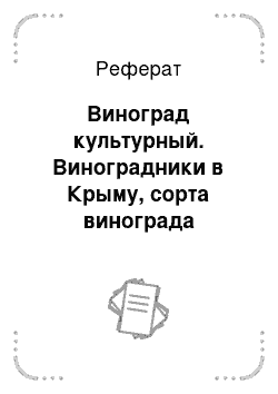 Реферат: Виноград культурный. Виноградники в Крыму, сорта винограда