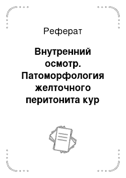 Реферат: Внутренний осмотр. Патоморфология желточного перитонита кур