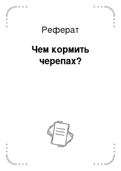 Реферат: Чем кормить черепах?