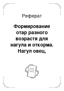 Реферат: Формирование отар разного возрастя для нагула и откорма. Нагул овец, техника пастьбы и водопой. Экономическое значение откорма и нагула