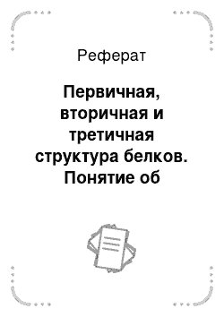 Реферат: Первичная, вторичная и третичная структура белков. Понятие об активном центре белков