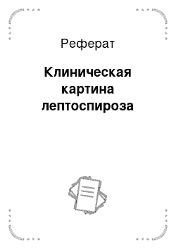 Реферат: Клиническая картина лептоспироза