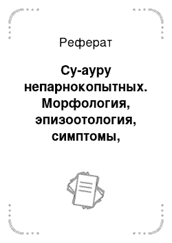 Реферат: Су-ауру непарнокопытных. Морфология, эпизоотология, симптомы, диагностика, меры борьбы