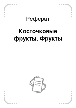 Реферат: Косточковые фрукты. Фрукты