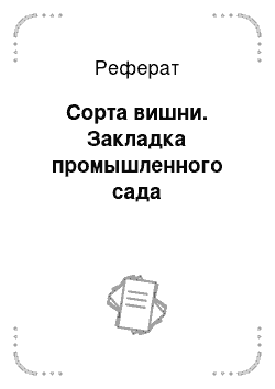 Реферат: Сорта вишни. Закладка промышленного сада