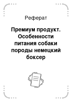 Реферат: Премиум продукт. Особенности питания собаки породы немецкий боксер