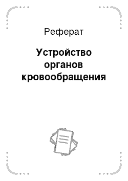 Реферат: Устройство органов кровообращения