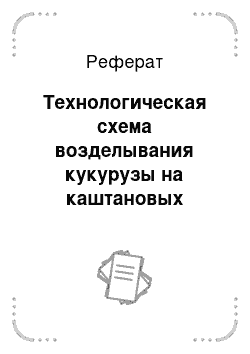 Реферат: Технологическая схема возделывания кукурузы на каштановых почвах Иловлинского района Волгоградской области