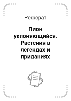 Реферат: Пион уклоняющийся. Растения в легендах и приданиях