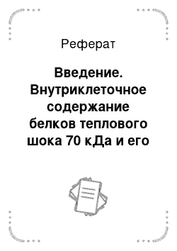 Реферат: Введение. Внутриклеточное содержание белков теплового шока 70 кДа и его взаимосвязь с продукцией активных форм кислорода в нейтрофилах человека при старении