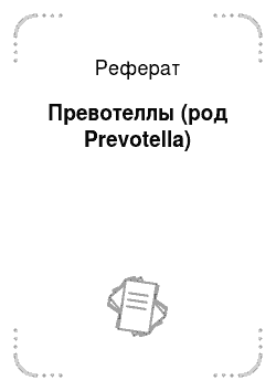 Реферат: Превотеллы (род Prevotella)